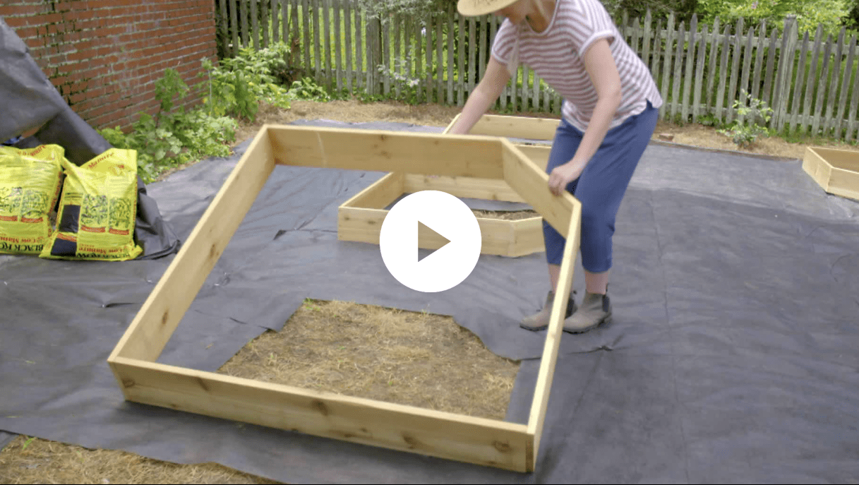 how to build a raised garden bed